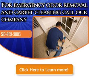 Carpet Cleaning Castro Valley Infographic